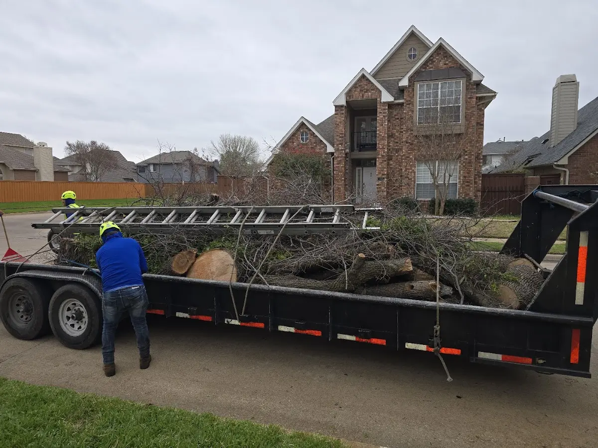Expert Tree Fertilization with proper safety equipment in Johns Island